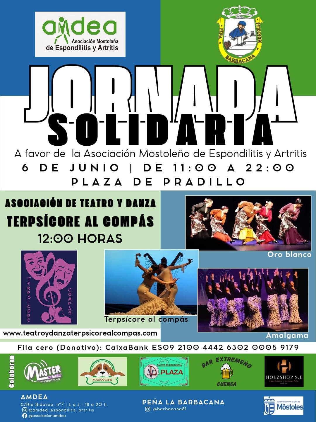 Cartel Gala Solidaria AMEA